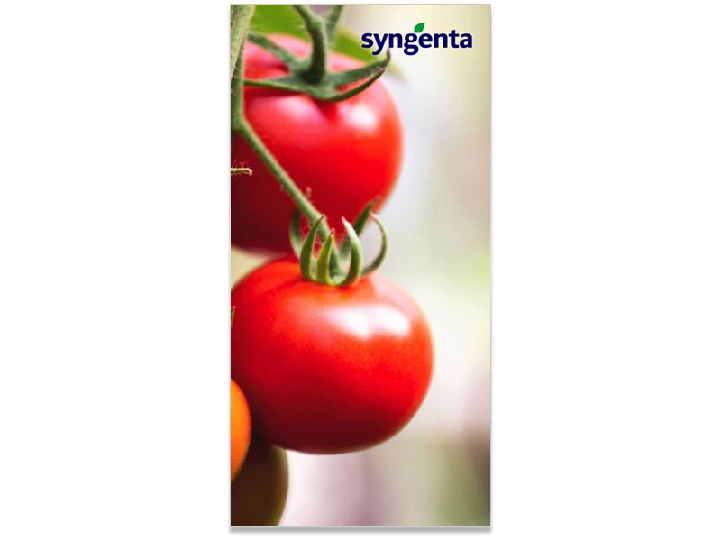 Syngenta Internal Branding 18x36 2.jpg